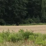 Gunram Mazury * Okowizna
