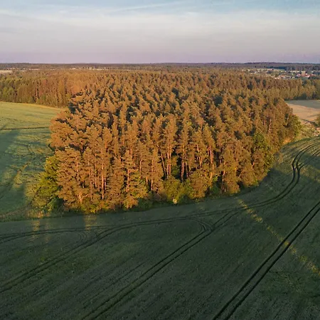 Gunram Mazury