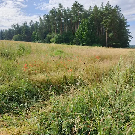 Διαμέρισμα Gunram Mazury *