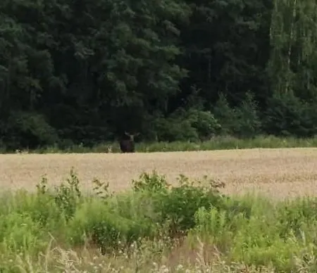 Gunram Mazury * Okowizna